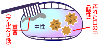 汚れた口の中(酸性) 重曹(アルカリ性)