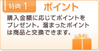 �|�C���g