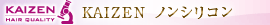 KAIZEN�@�m���V���R��