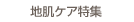 �n���P�A���W