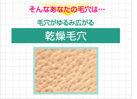 そんなあなたの毛穴は…毛穴がゆるみ広がる乾燥毛穴