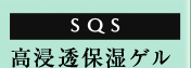 SQS ���Z���ێ��Q��