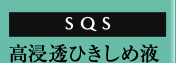SQS ���Z���Ђ����߉t