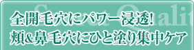 �S�J�ь��Ƀp���[�Z���I�j���@�ь��ɂЂƓh��W���P�A