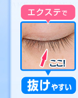 �G�N�X�e�Ŕ����₷��