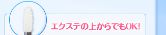 �G�N�X�e�̏ォ��ł�OK�I