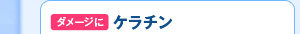 �_���[�W�ɃP���`��