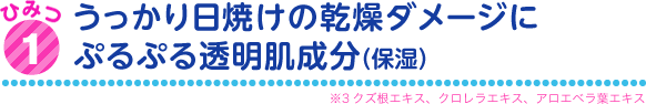 うっかり日焼けの乾燥ダメージにぷるぷる透明肌成分(保湿)