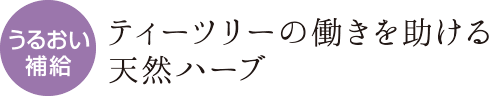 うるおい補給 ティーツリーの働きを助ける天然ハーブ
