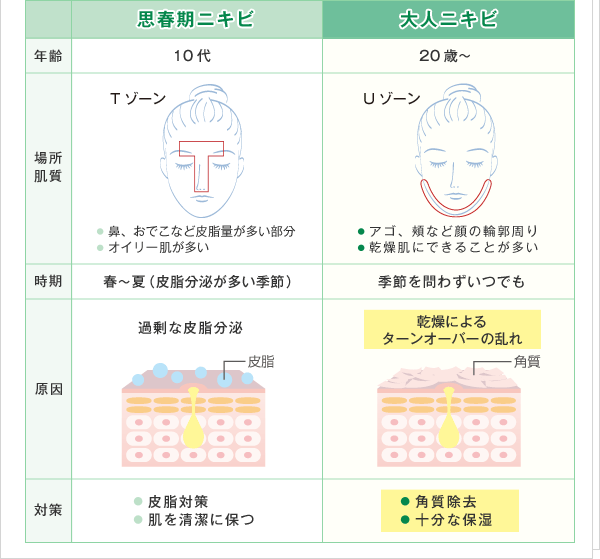 大人ニキビと思春期ニキビの違い　図表