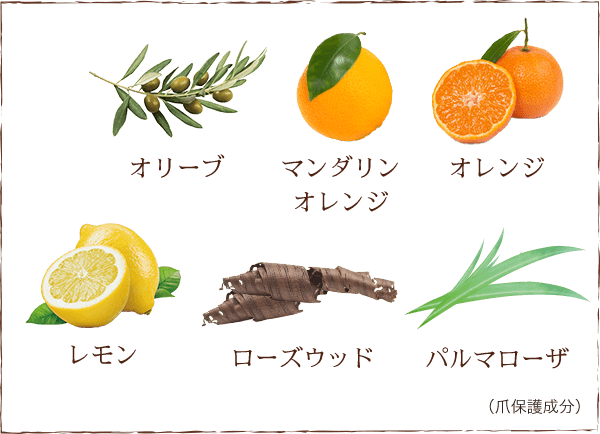 オリーブ マンダリンオレンジ オレンジ レモン ローズウッド パルマローザ (爪保護成分)