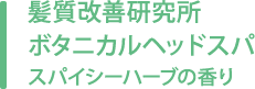 髮質改善研究所 ボタニカルヘッドスパスパイシーハーブの香り