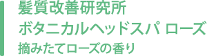 髮質改善研究所 ボタニカルヘッドスパ ローズ 摘みたてローズの香り