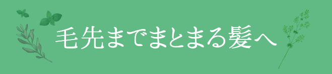 毛先までまとまる髪へ