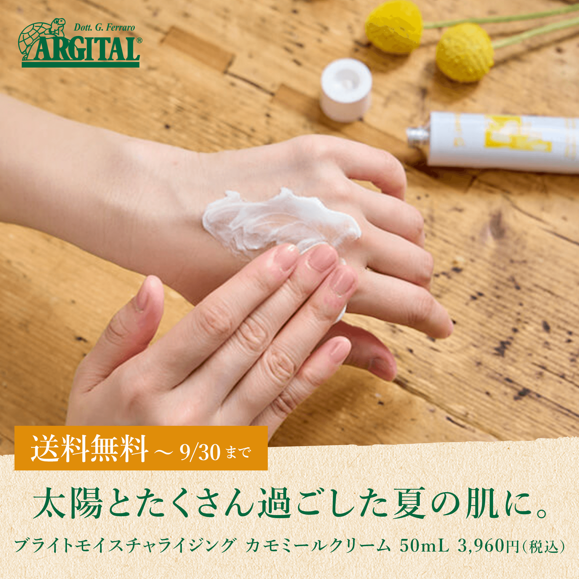 太陽とたくさん過ごした夏の肌に。『アルジタル』カモミールクリーム　送料無料～9/30まで