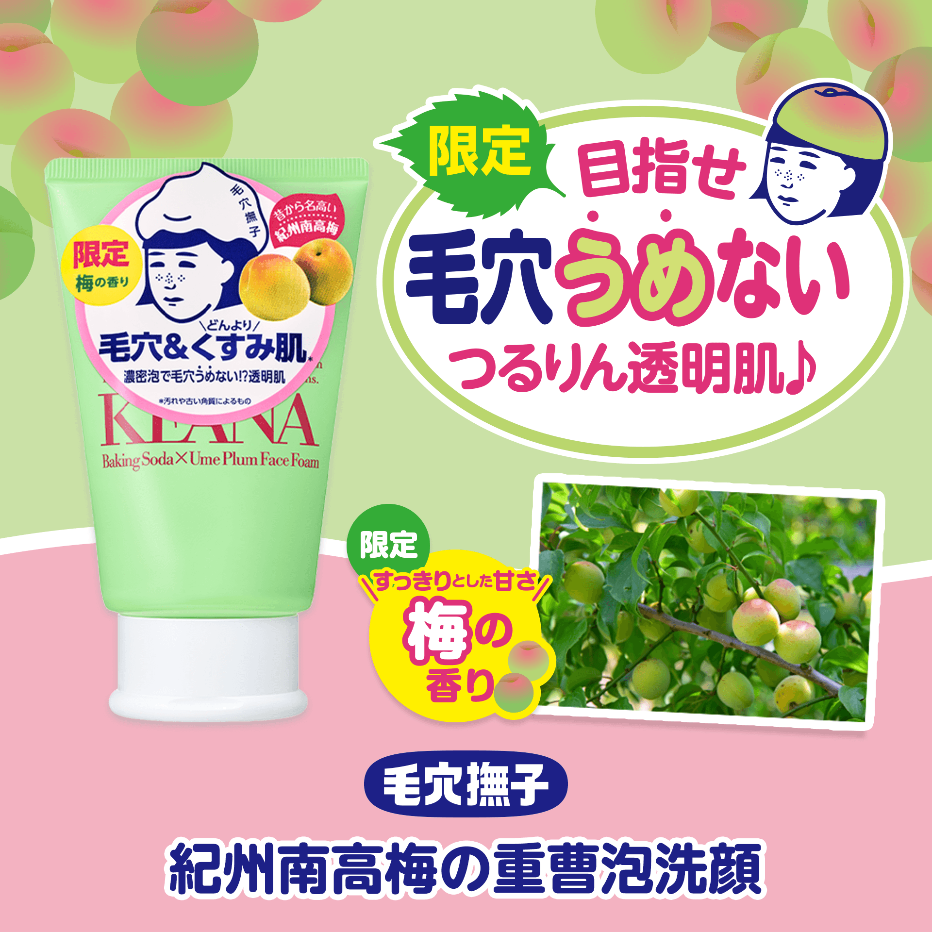 毛穴撫子　紀州南高梅の重曹泡洗顔