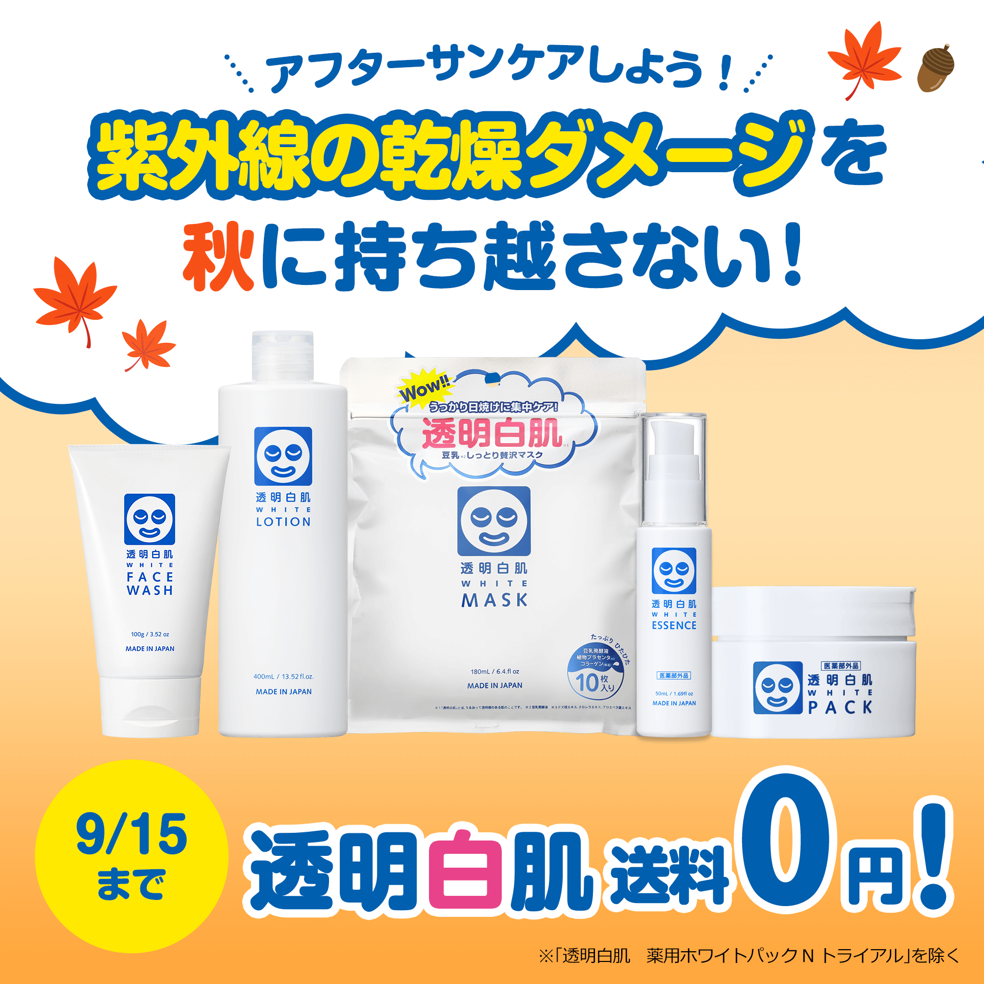 透明白肌　送料無料