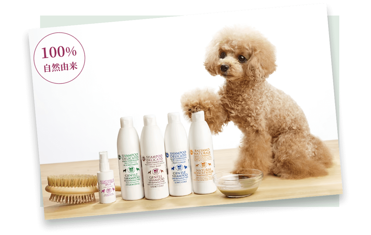 『アルジタル』にはペットケアも！愛犬のための『ミフィード』 100%天然由来