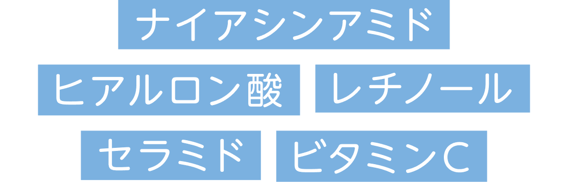 ナイアシンアミド ヒアルロン酸 レチノール セラミド ビタミンC