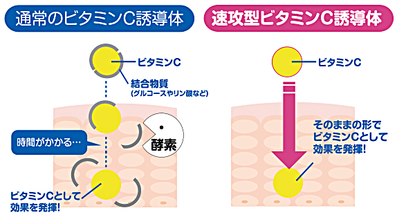 速攻型ビタミンC