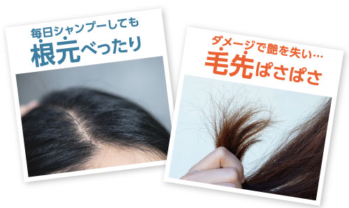 地肌はベタベタ 毛先はパサパサ 炭シャンプー 炭トリートメントでスッキリ 艶髪へ 石澤研究所 公式サイト 地肌はベタベタ 毛先はパサパサ 炭シャンプー 炭トリートメントでスッキリ 艶髪へ 石澤研究所 公式サイト