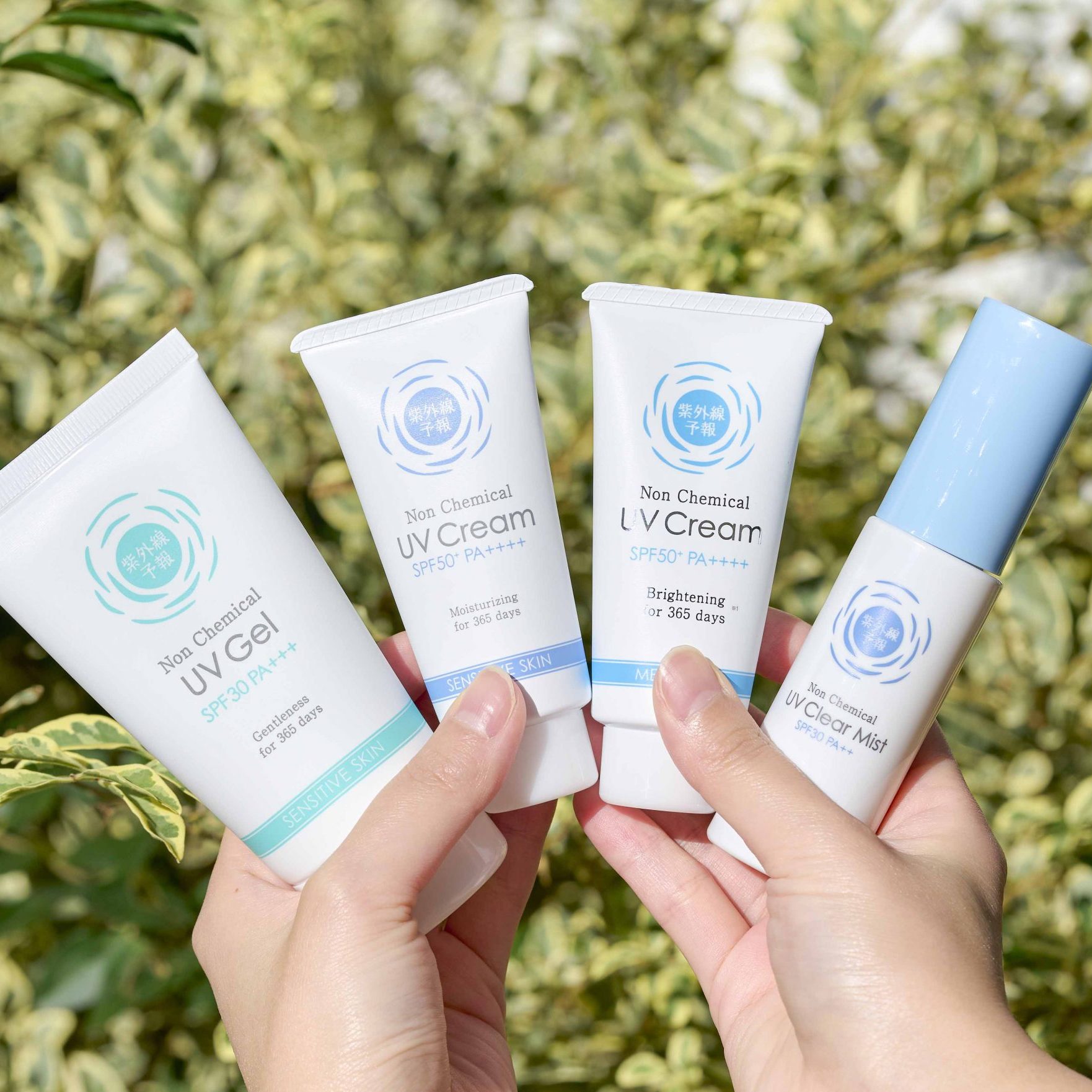 24_11_19_2902-のコピー-1-