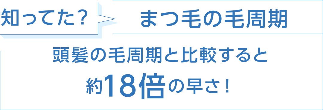 知ってた? まつ毛の毛周期 頭髪の毛周期と引っ買うすると約18倍の早さ!