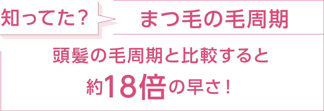 知ってた? まつ毛の毛周期 頭髪の毛周期と引っ買うすると約18倍の早さ!