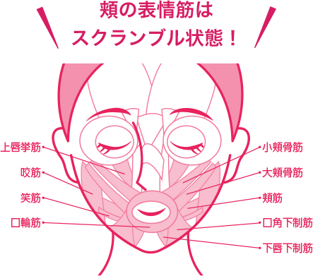 頬の表情筋はスクランブル状態!