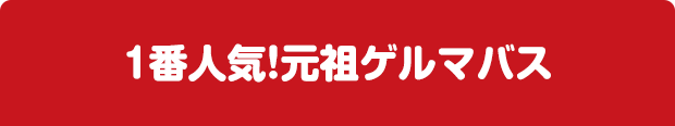 １番人気！元祖ゲルマバス