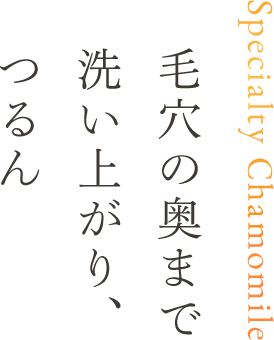 フカフカな泡立ちで、毛穴の奥まで洗い上がり、つるん Specialty Chamomile