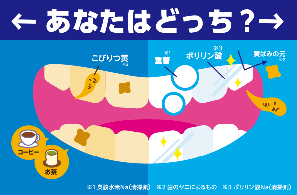 あなたはどっち？