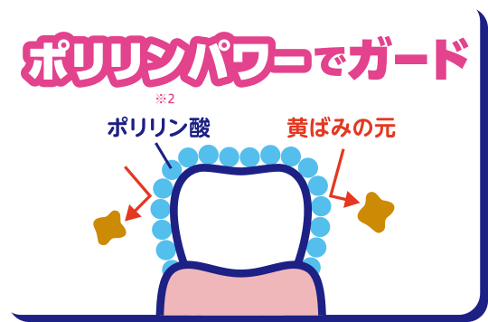ポリリンパワーでガード