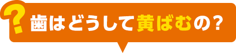 歯はどうして黄ばむの？