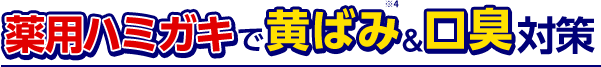 薬用ハミガキで黄ばみ＆口臭対策