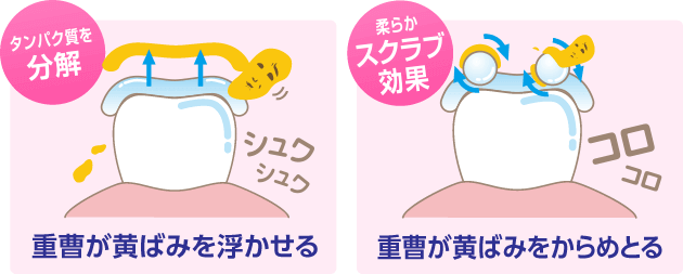 タンパク質を分解 重曹が黄ばみを浮かせる 柔らかスクラブ効果 重曹が黄ばみをからめとる