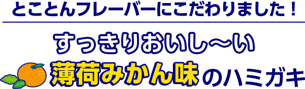 とことんフレーバーにこだわりました！ すっきりおいし～い薄荷みかん味のハミガキ