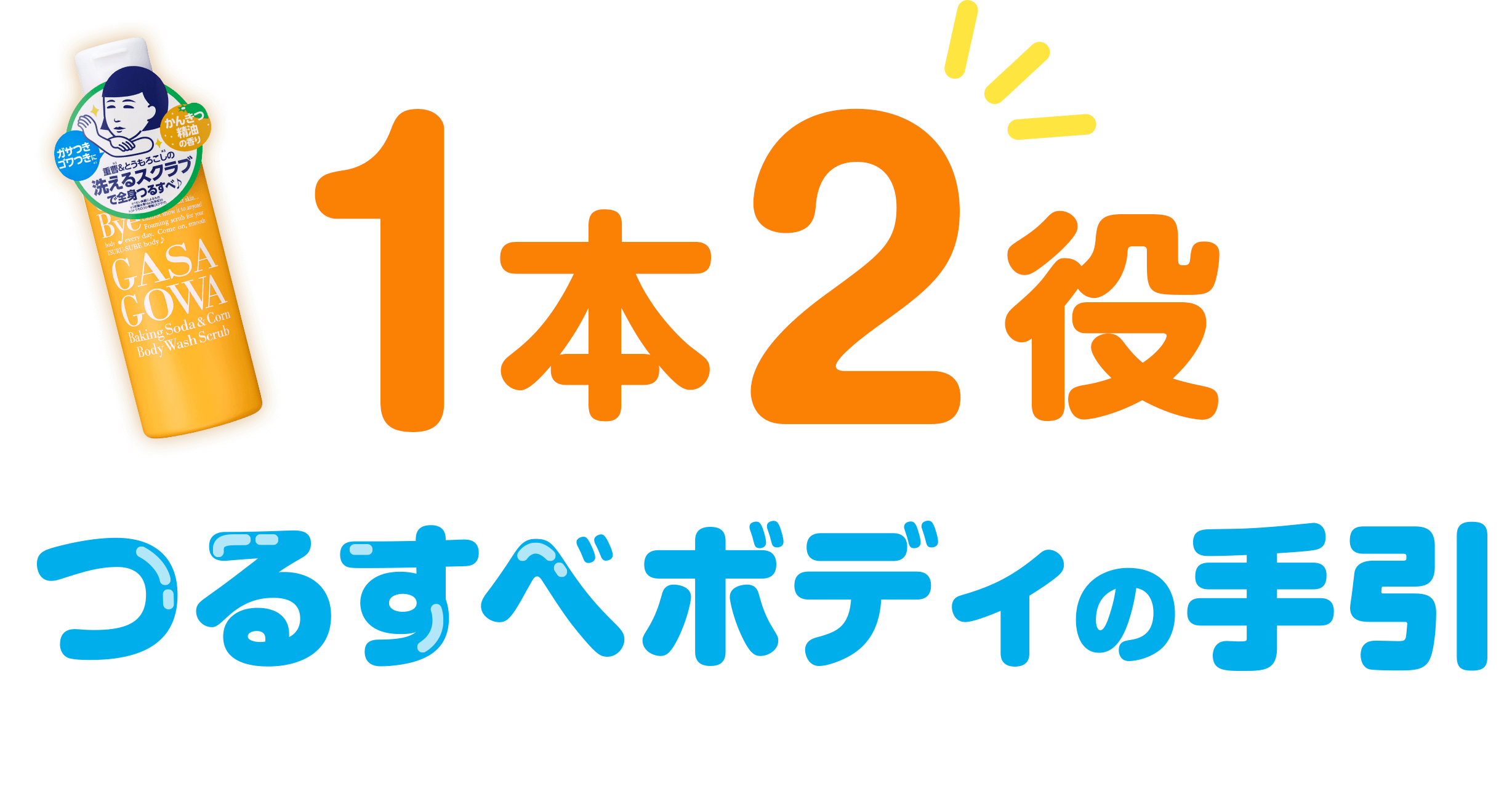 1本2役つるすべボディの手引