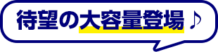 待望の大容量登場♪