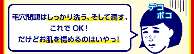 毛穴問題はしっかり洗う、そして潤す。これでOK！だけどお肌を傷めるのはいやっ！