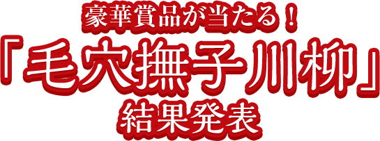 豪華賞品が当たる 毛穴撫子川柳 結果発表 石澤研究所 公式サイト