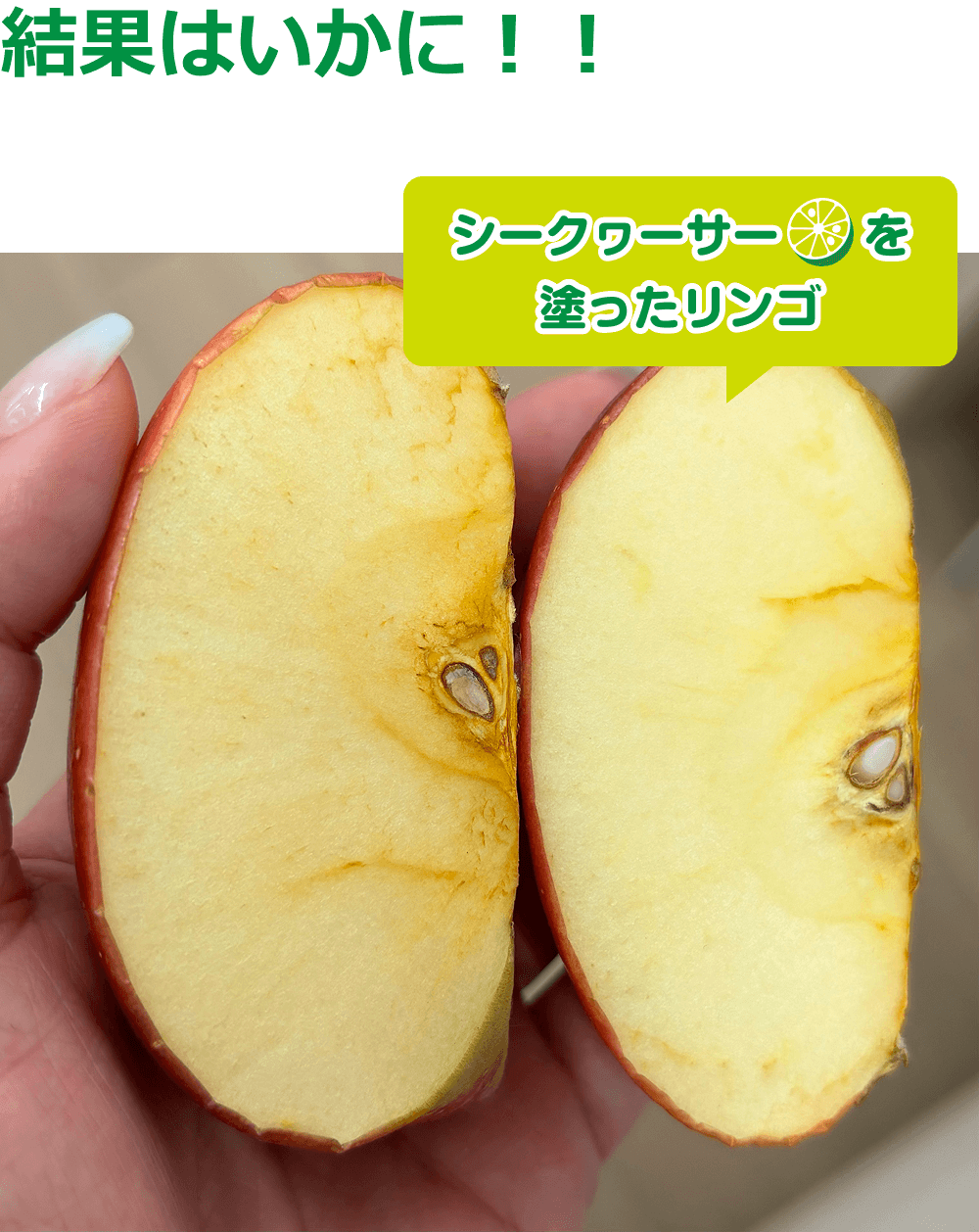 結果はいかに!!