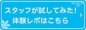 製品レビューブログ