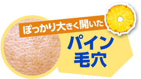 ぽっかり大きく開いたパイン毛穴