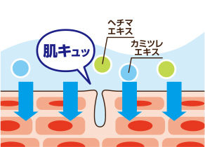 肌キュッ　ヘチマエキス　カミツレエキス