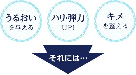 うるおいを与える ハリ・弾力UP! キメを整える それには…