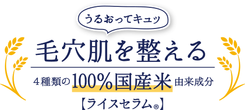 うるおってキュッ　毛穴肌を整える　4種類の100%国産米由来成分【ライスセラム®】