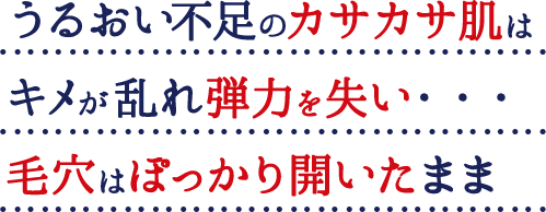 うるおい不足のカサカサ肌はキメが乱れ弾力を失い・・・毛穴はぽっかり開いたまま