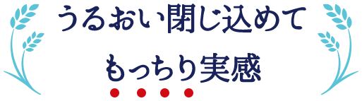 うるおい閉じ込めてもっちり実感