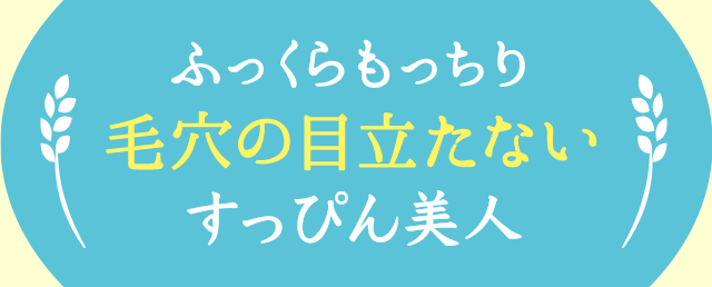 ふっくらもっちり　毛穴の目立たない　すっぴん美人